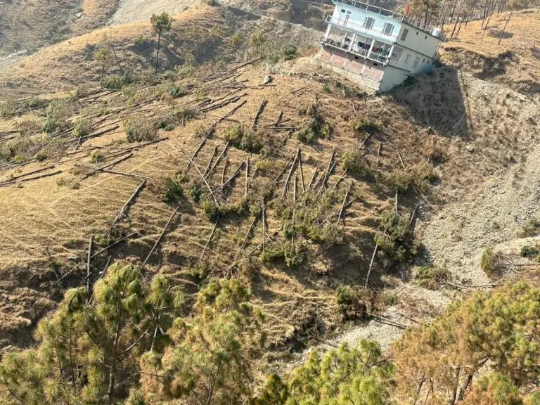 शिलाई में पेड़ों के कटान पर उठे सवाल, वन विभाग करेगा मौके पर जांच