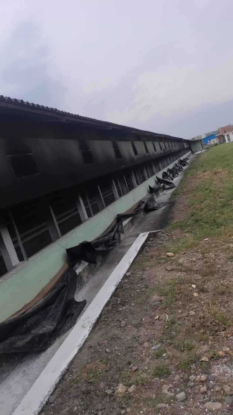 पांवटा साहिब में शॉर्ट सर्किट से लगी आग , फार्म को पहुचा भारी नुकसान मुर्गीया भी जलकर ख़ाक