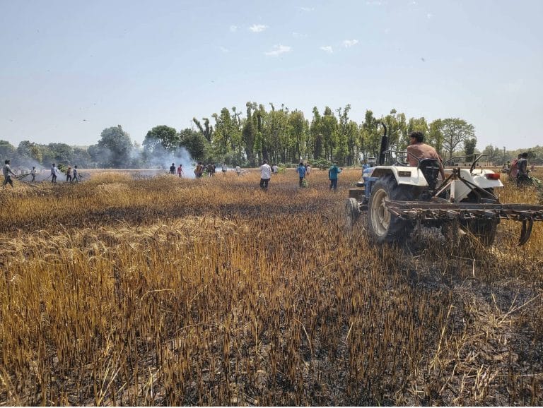 पांवटा साहिब में भड़की आग ने उजाड़ी गेहू की फसल, किसानों की महीनों की मेहनत खाक