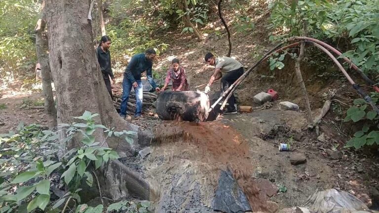 पांवटा साहिब में वन विभाग की कार्रवाई, 450 लीटर लाहन नष्ट, वन क्षेत्र के अंदर चल रही थी अवैध शराब बनाने की गतिविधि